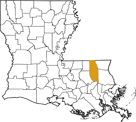 Louisiana-map-county-outlines-Tangipahoa-Parish